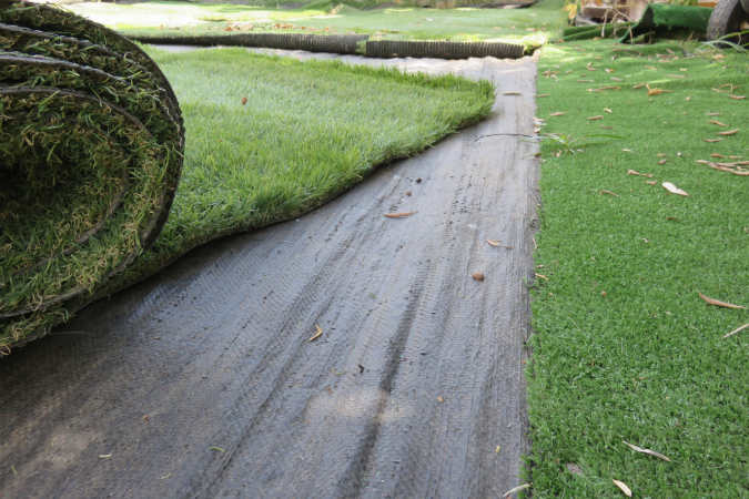 damaged turf that needs repairs
